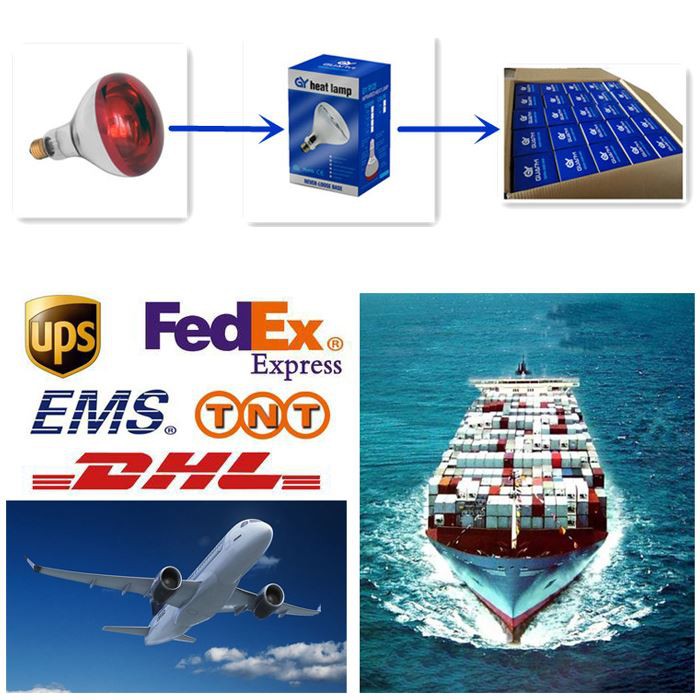 product-700-700 Transport of red light therapy bulb