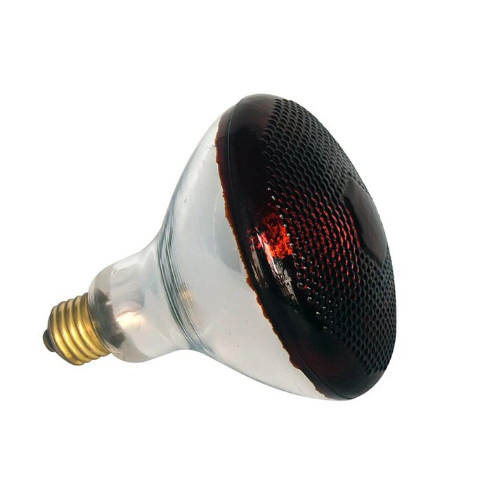 Poultry Infrared Heat Lamp